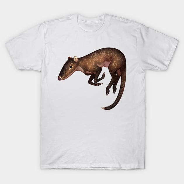 Cozy Indohyus T-Shirt by Phoenix Baldwin